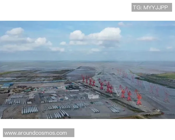 盐城大丰港战队崛起背后探索 竞技与城市发展共融的新篇章